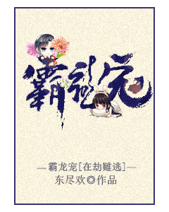 霸龙宠