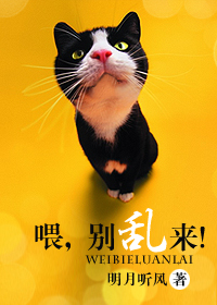 喂,别乱来!