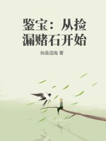 鉴宝:从捡漏赌石开始