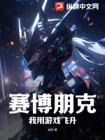 赛博朋克:我用游戏飞升