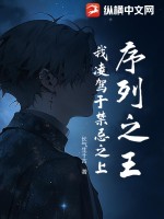 序列之王:我凌驾于禁忌之上