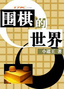 围棋的世界