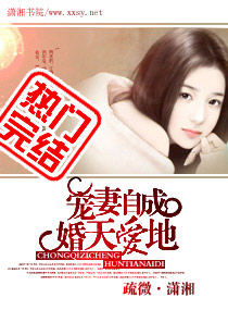 宠妻自成婚天爱地文