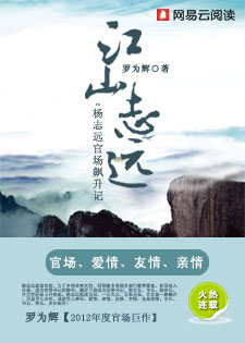 江山志远:杨志远飙升记