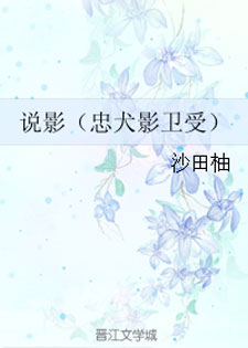 说影(忠犬影卫受)