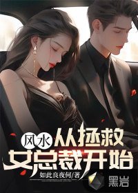 风水:从拯救女总裁开始